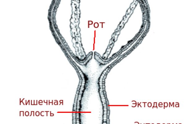 Что такое кракен магазин